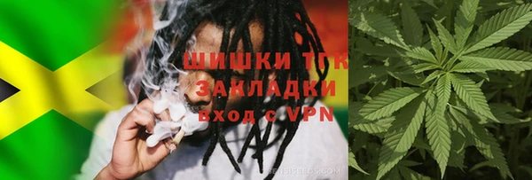 гашик Медногорск