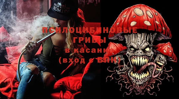 дживик Мегион