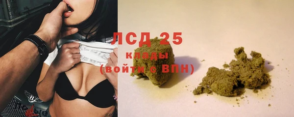 гашик Медногорск
