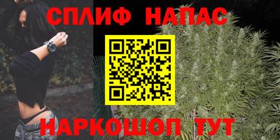 трава Балахна