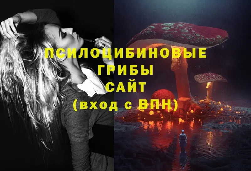 Псилоцибиновые грибы Psilocybe Белая Калитва