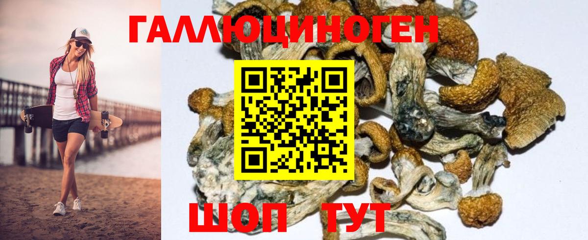 Галлюциногенные грибы GOLDEN TEACHER Белая Калитва