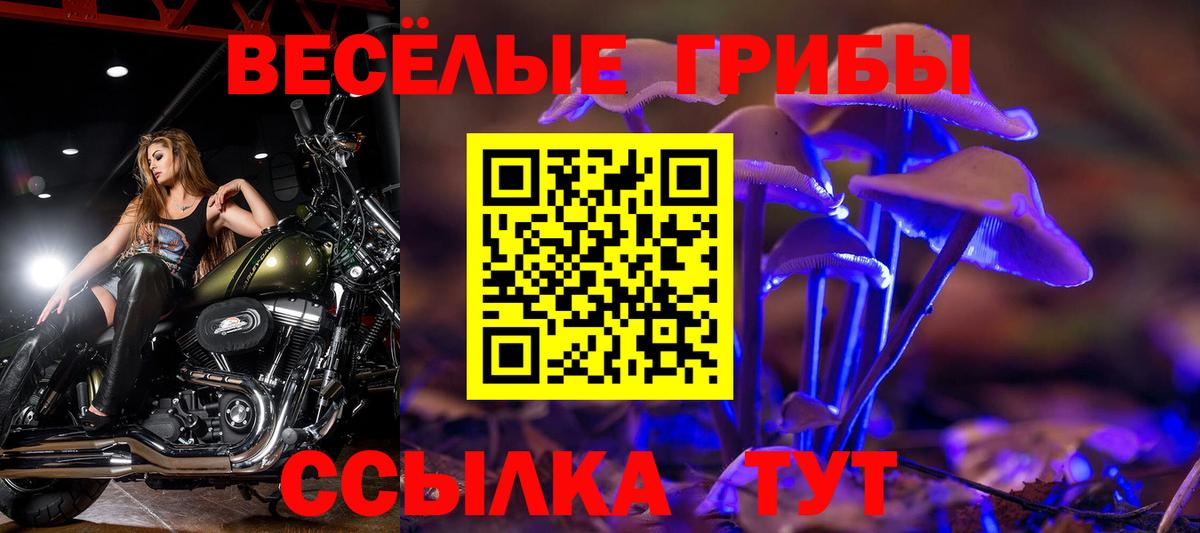 Галлюциногенные грибы MAGIC MUSHROOMS Белая Калитва